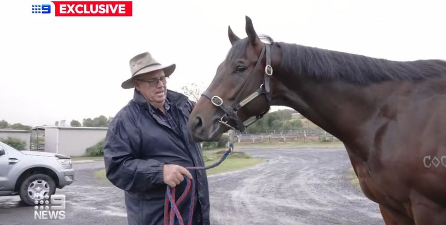 лошадь, скачки, конные скачки, выигрыш в лотерею