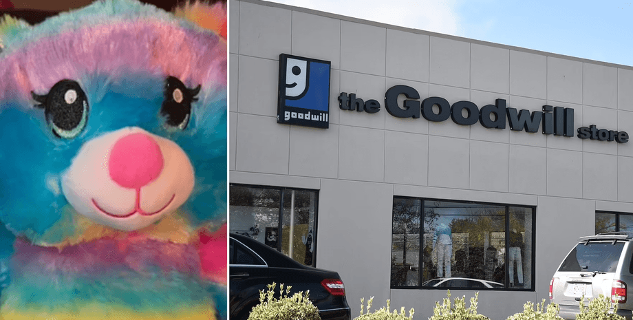 Игрушка, магазин, Мягкая игрушка, мишка, плюшевый мишка,