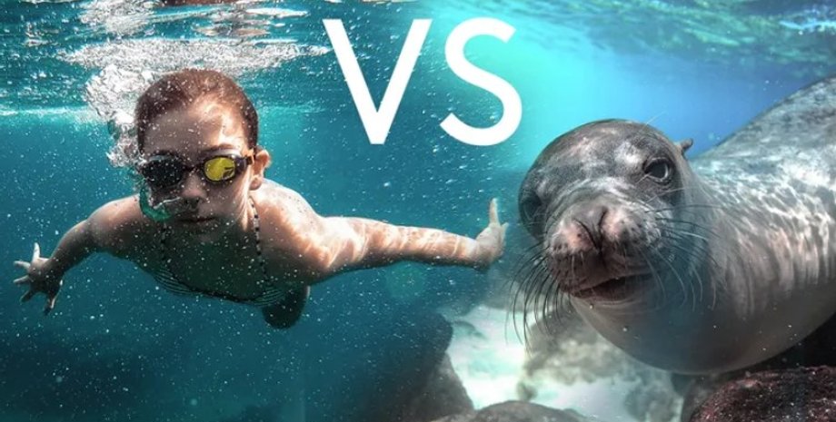 Людина, дитина, тюлень, вода