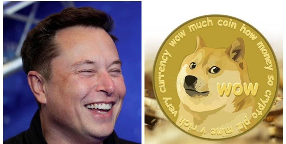 Twitter сменила иконку на логотип Dogecoin Twitter, Илон Маск, Dogecoin, фото