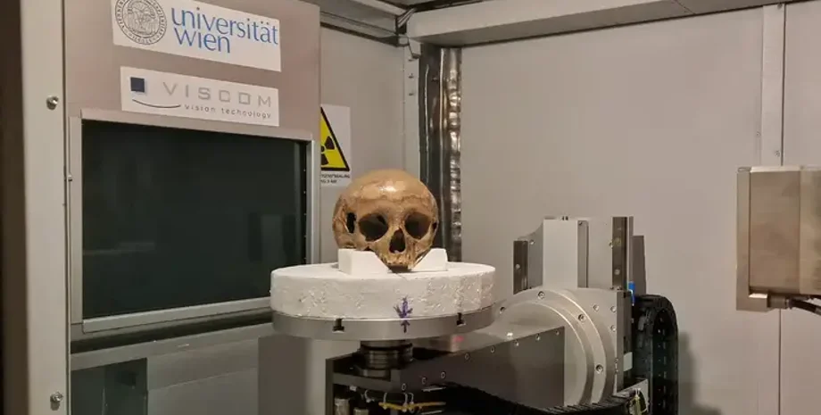 Эфес, череп, Клеопатра, Октогон, археология, археологи, Арсиноя, принцесса, сестра Клеопатры, скелет, захоронение, история, Эфес, исследование, гробница, мавзолей