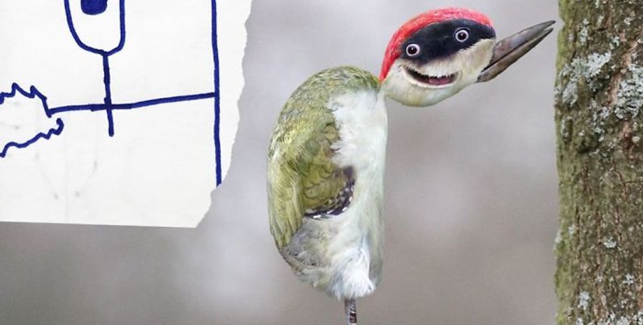 фотошоп, детские рисунки, том кертис, Things I have drawn