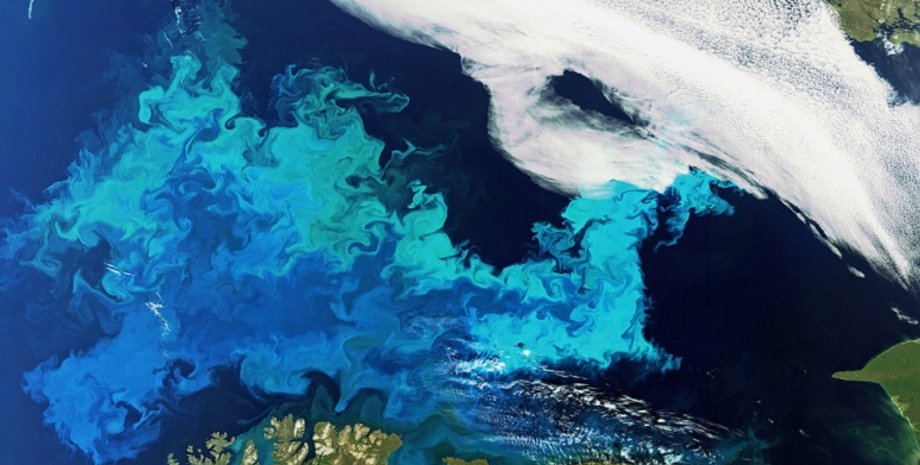 океан, цветение в океане, океан цветение