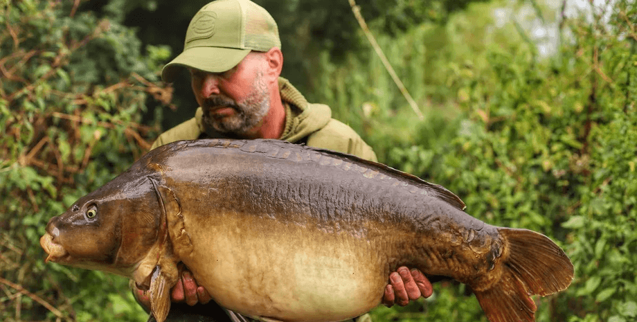 Рыбак поймал одну и ту же рыбу, карп, выпустил 30 лет назад, рыбак, мужчина дважды поймал одного карпа,
