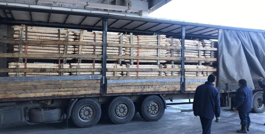 Фото: facebook / max nefyodov