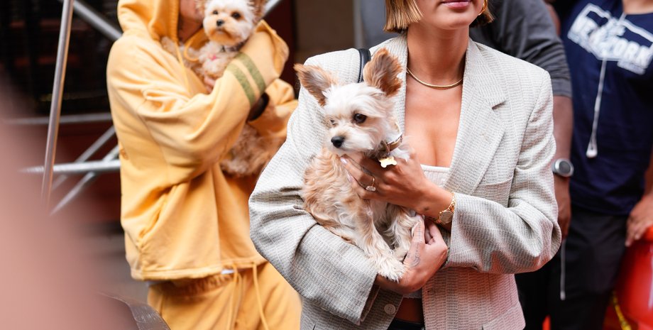 Хейли и Джастин Бибер, Хейли Бибер, Хейли и Джастин Бибер собаки, Хейли и Джастин Бибер на свидании