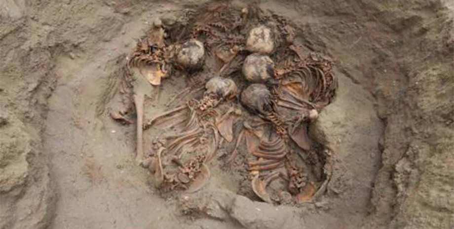 скелеты, яма, фото