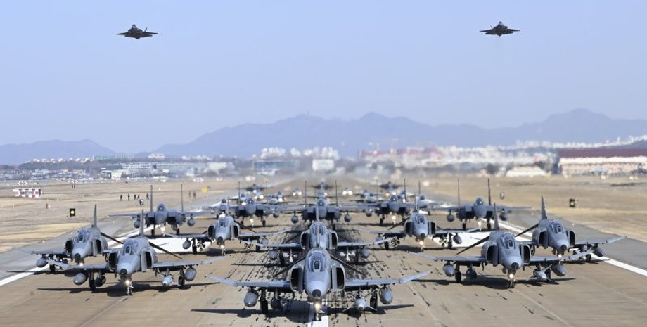 Прогулянка слонів Корея