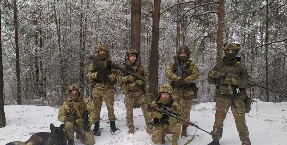 Военные ВСУ DeepState