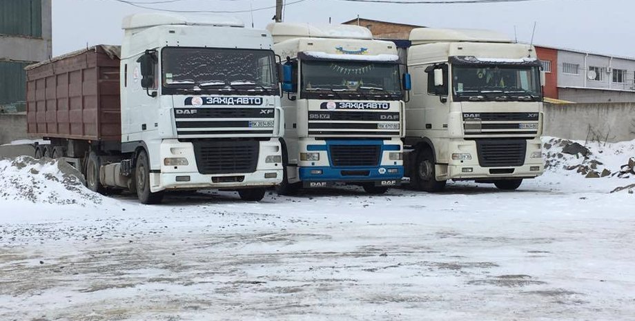 "Бродячий" львовский мусор / Фото:  Facebook / Алексей Бучинский