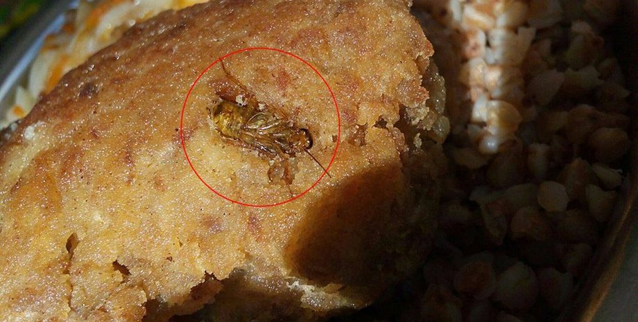 Украинских военных кормят червями и тараканами / Фото: facebook.com/yuri.biriukov