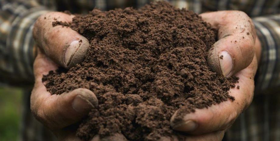 Банковскую землю продают в Китае как сувенир, что это такое, приколы, курьезы, смешные новости