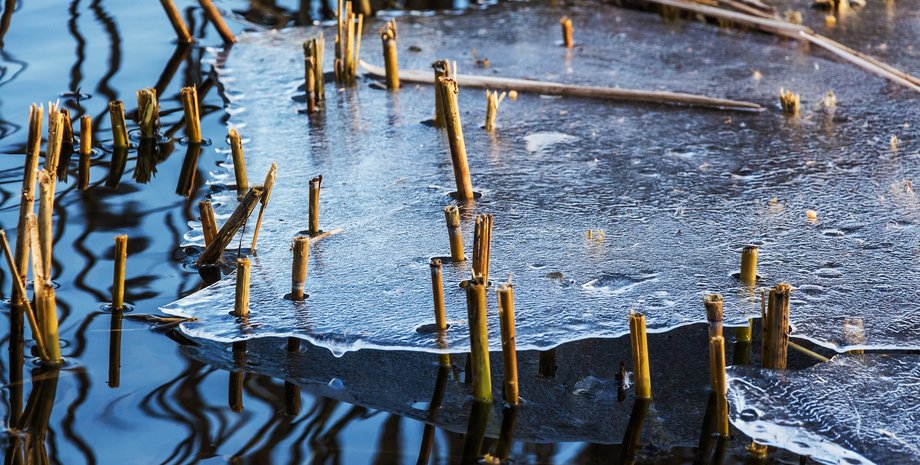 погода на тиждень, погода 20-24 лютого, карти погоди, циклон