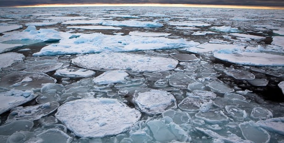 Фото: Nick Cobbing/Greenpeace