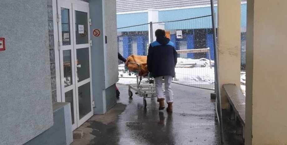 Фото: twitter.com/Kwiatkowski2011/