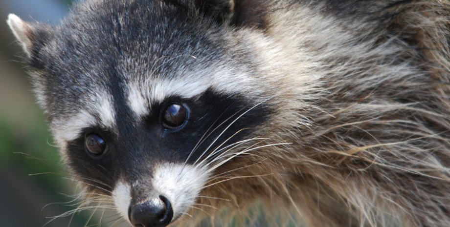 Фото: Lonely Planet