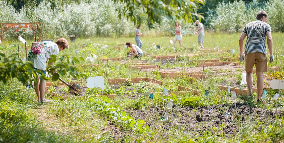 Фото проекта "Живий простір"