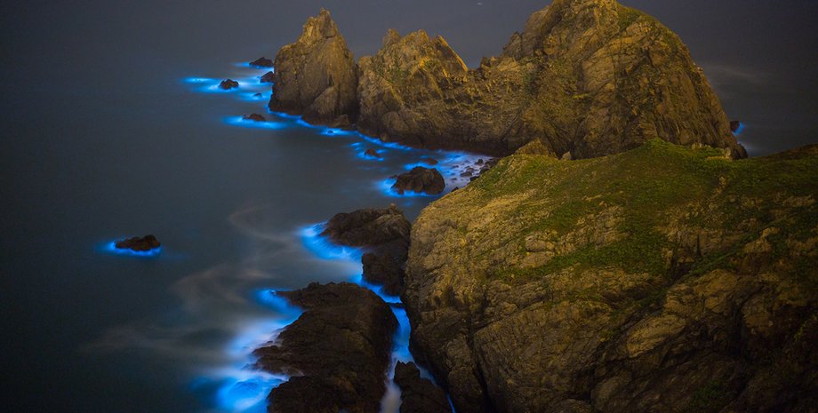 Фото: WanRu Chen/Getty Images