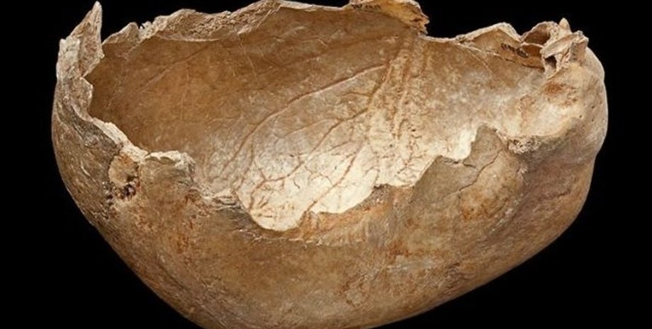 череп, чаша из черепа, миска из черепа