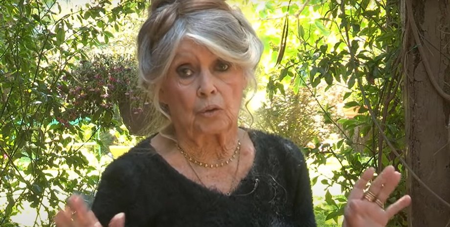 Фото: скриншот