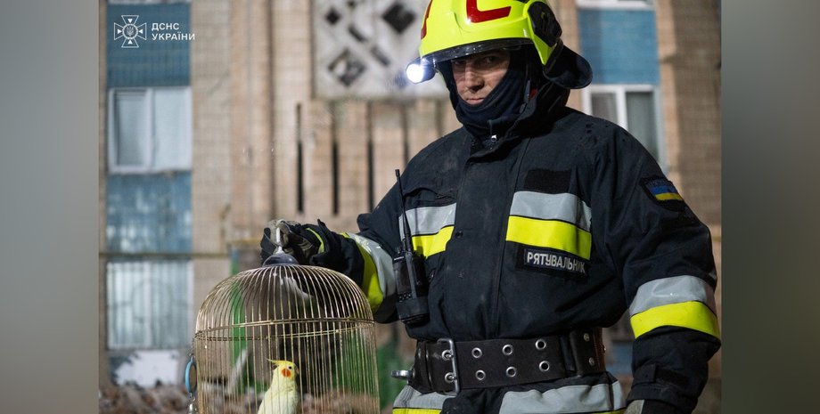 В Тернополе спасли попугая