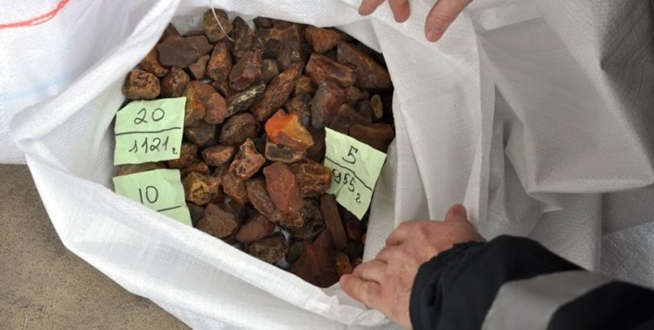 Контрабандный янтарь / Фото: tvn24.pl