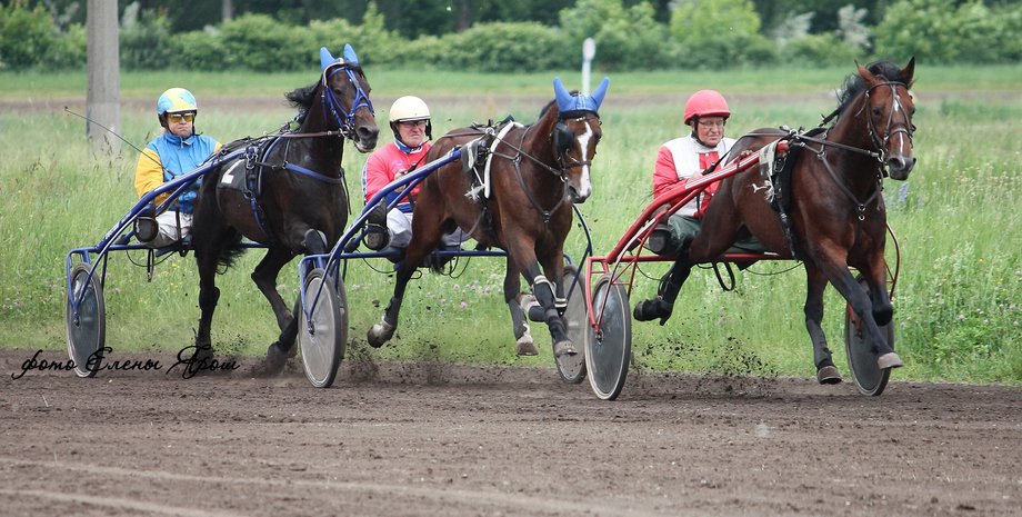 Киевский ипподром