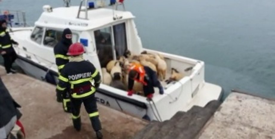 Фото: Скриншот