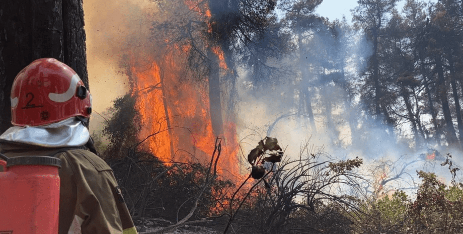 пожар в Греции, лесные пожары, ГСЧС, пожарные, спасатели