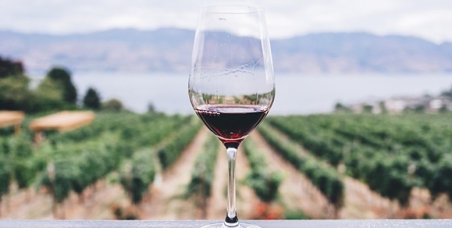 вино, виноградник, виноробство, ціна на алкоголь