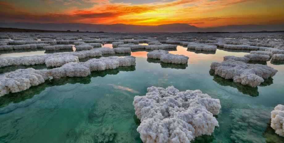 мертве море, білі курці мертве море, білі курці мертве море