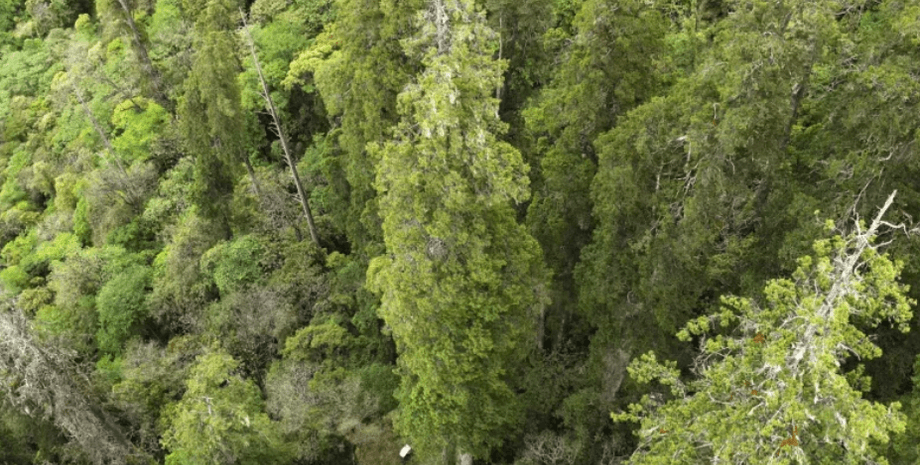 Национальный заповедник Гранд-Каньон Ярлунг Зангбо