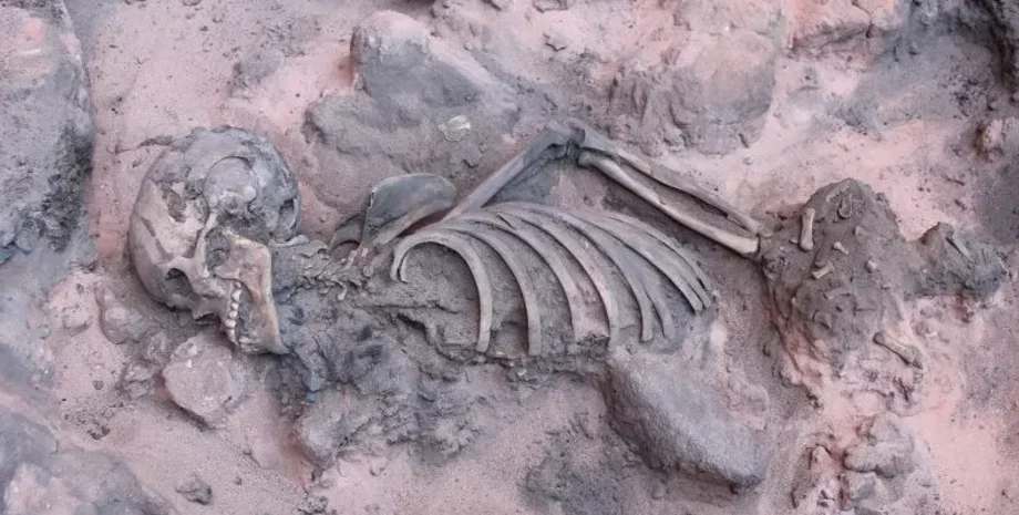 Скелет подростка, Археологическая находка, раскопки, останки ребенка, Захоронение коренных жителей, культура, археология, история, бразилия, находка