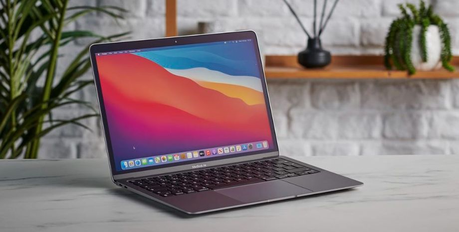 Знахідка у ноутбуці, комахи, сюрприз, цікаві речі, дивні історії з життя, неймовірні речі, курйози, приколи, цікавинки