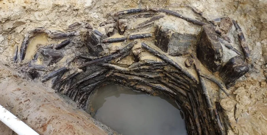 Колодязь бронзової доби, Оксфордшир, археологічна знахідка, дерев'яна споруда, археологія, поселення бронзової доби, стародавня іригація, археологічні розкопки, збережена деревина