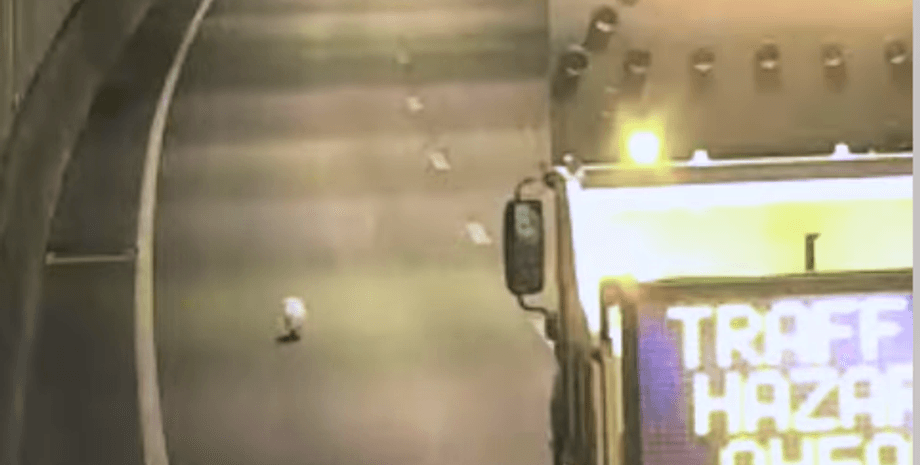 болонка в тоннеле, перекрытое движение, побег собачки, Австралия, Брисзбен, шоссе, подземный тоннель