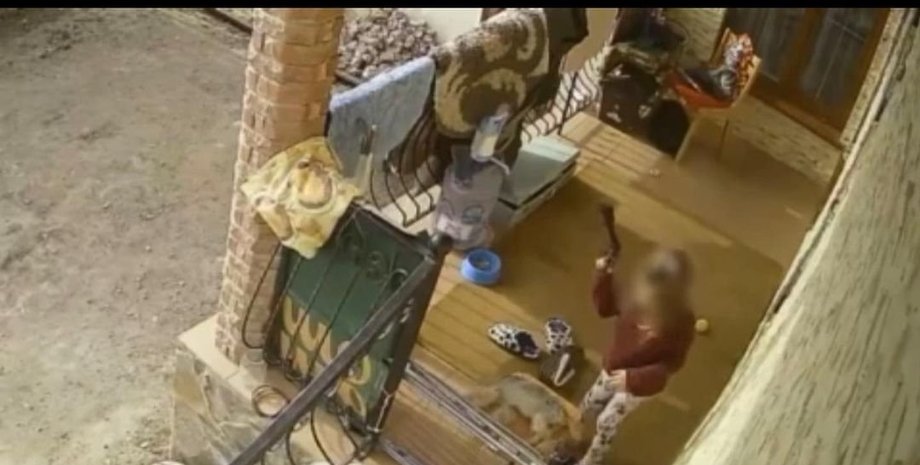 Черновцы, убийство собаки, UAnimals