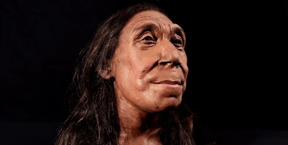 неандерталец лицо