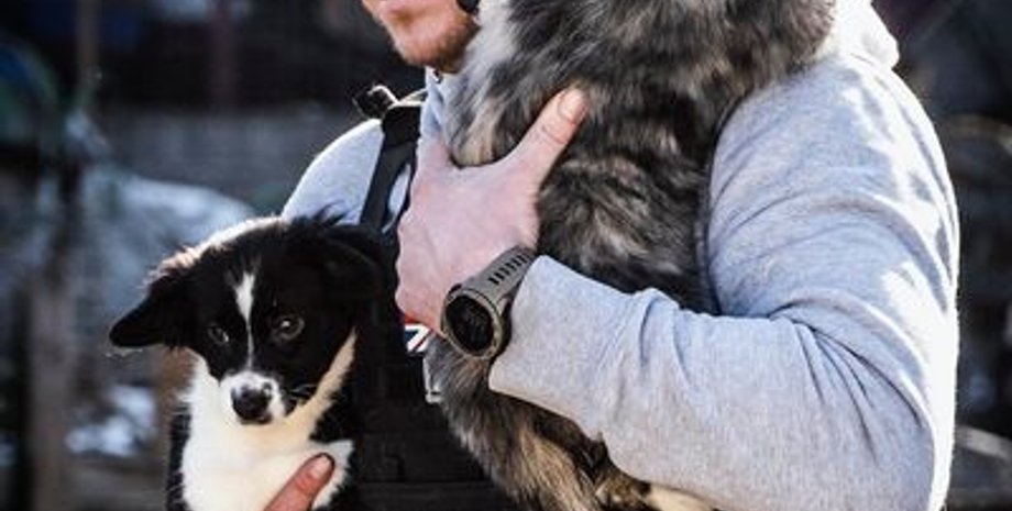 британский ветеран, ветеран том, спасение животных, иностранные добровольцы, иностранный легион, приюты для животных, война в украине