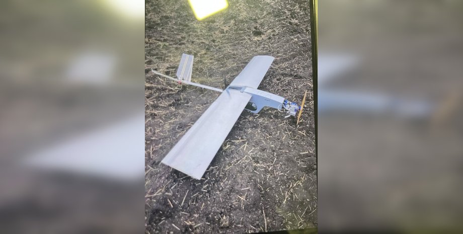 БПЛА, мишень, приманка, дрон, беспилотник, война в Украине, фото