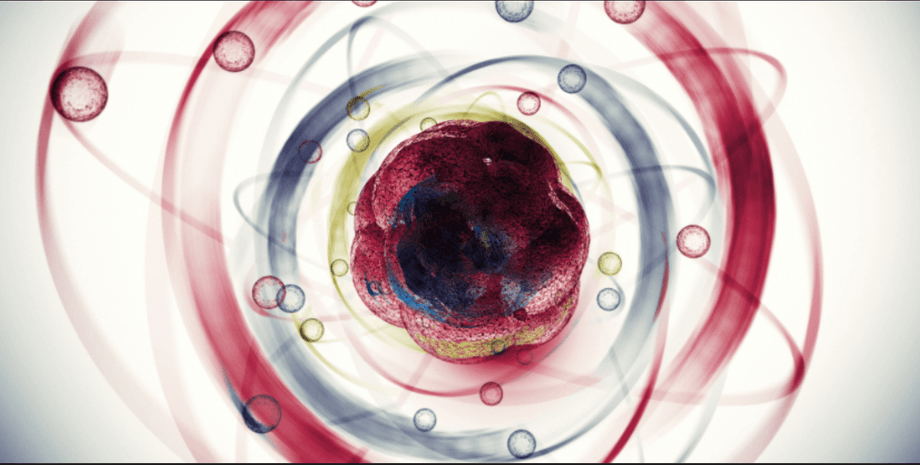 п'ята сила природи