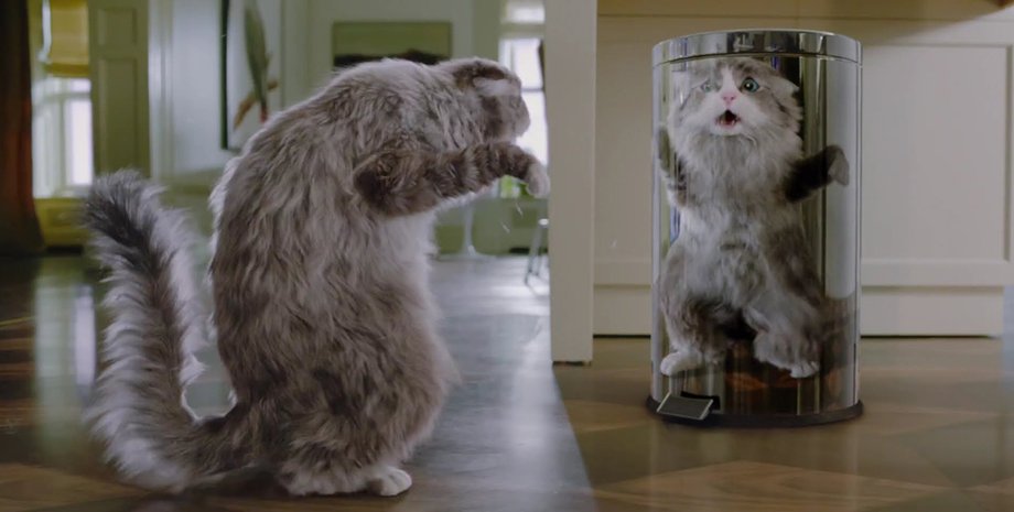 Фото: кадр из фильма