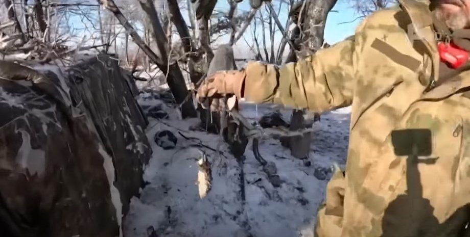 гризуни на передовій, проблема гризунів на фронті