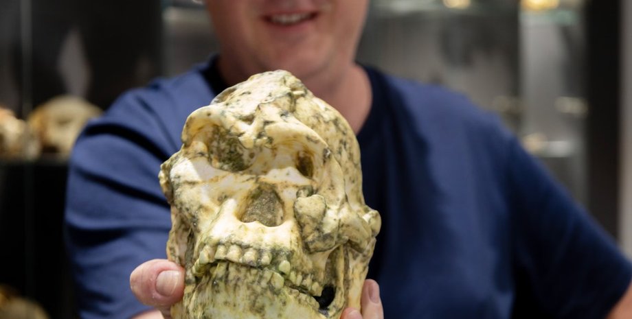 древний человек, предок человека, новый вид человека