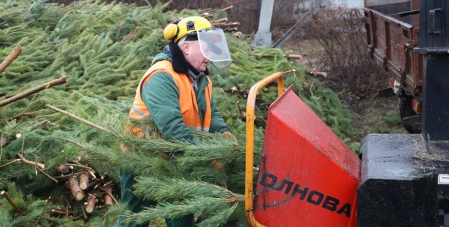 Киев, новогодняя елка, пункт сбора, КГГА, елка