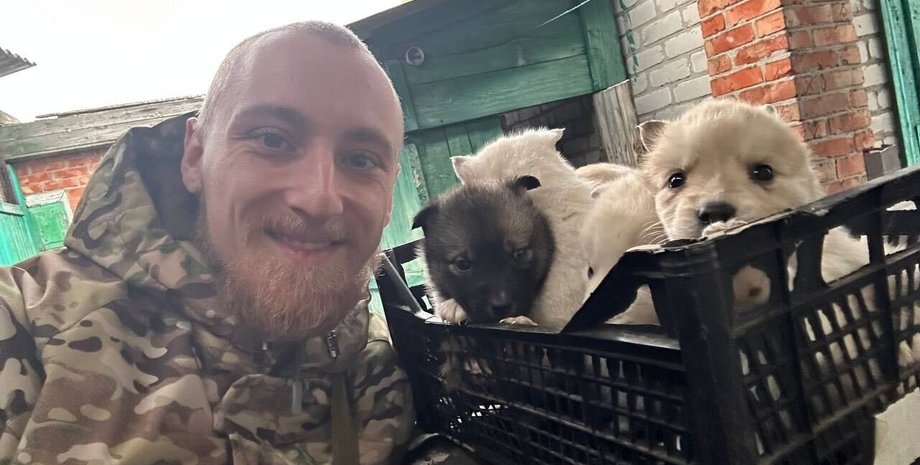 цуценята на фронті, собаки на фронті, військовий ЗСУ, українська армія, ЗСУ