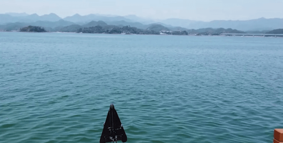 Морской беспилотник