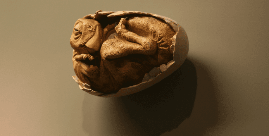 динозавр, велоцираптор, дослідження, гніздо, яйця, череп, хижак, дитинча, вчені, паразит, паразитизм, відкриття, зозуля, вид, птах, виживання, стратегія