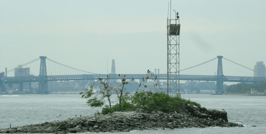 остров, Нью-Йорк, запрет, У-Тант, ООН, конструкция, буддисты, животные, птицы, река, тоннель, земля, строительство, Бельмонт