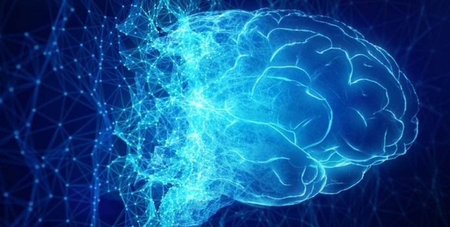 нейромережа, ШІ, мозок, мізки, мізки